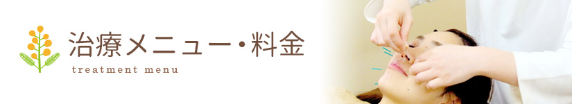 治療メニュー・料金