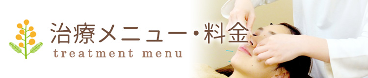 治療メニュー・料金